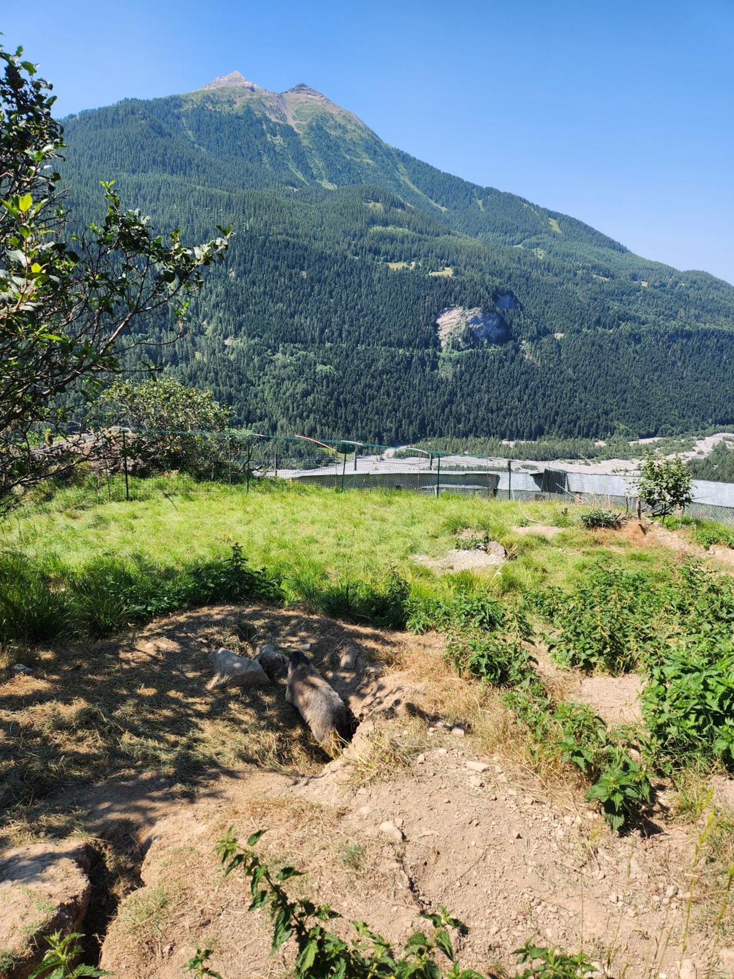 Appartement T3 Avec Jardin Proche Village Saint-Bonnet-en-Champsaur Eksteriør bilde
